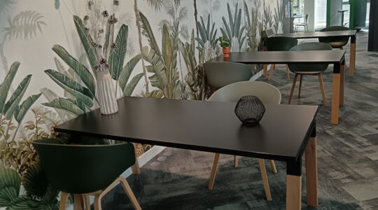 mobilier-cantine